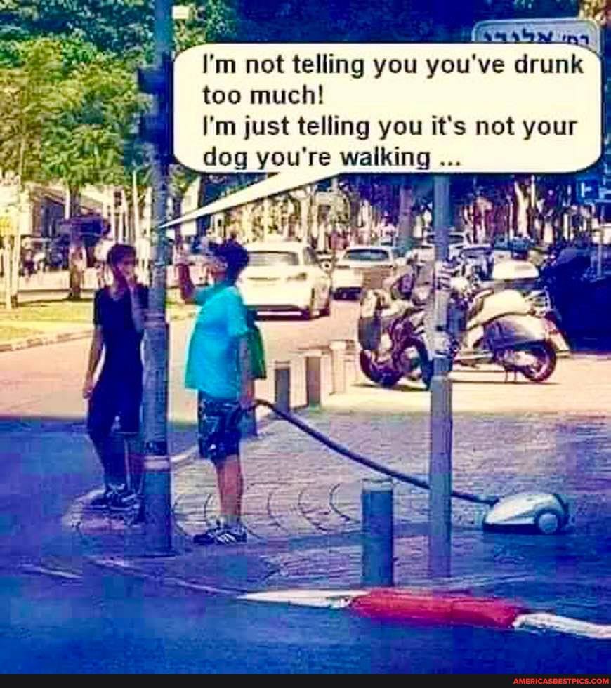 I'm not telling you you've drunk too much!
I'm just telling you it's not your dog you're walking