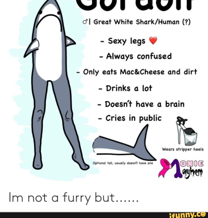 &I Great White Shark/Human Sexy legs Y Always confused Only eats Mac ...