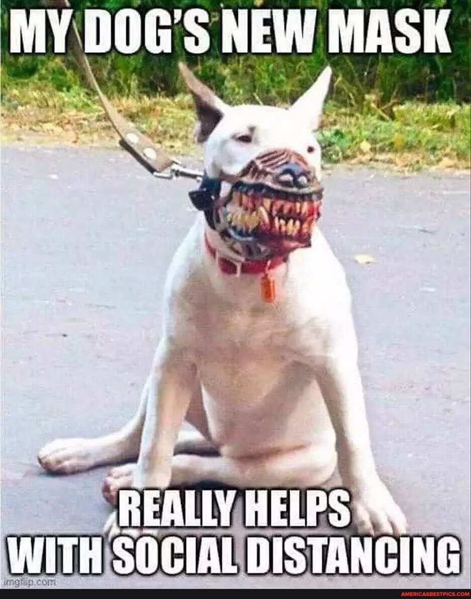 MY DOG'S NEW MASK
AWITH DISTANCING
