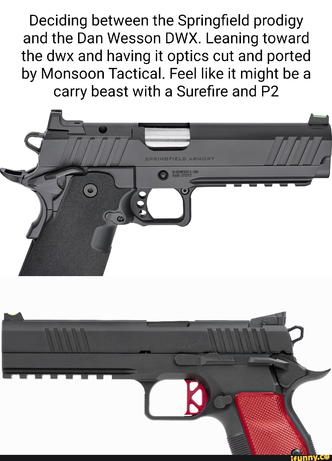 Deciding between the Springfield prodigy and the Dan Wesson DWx