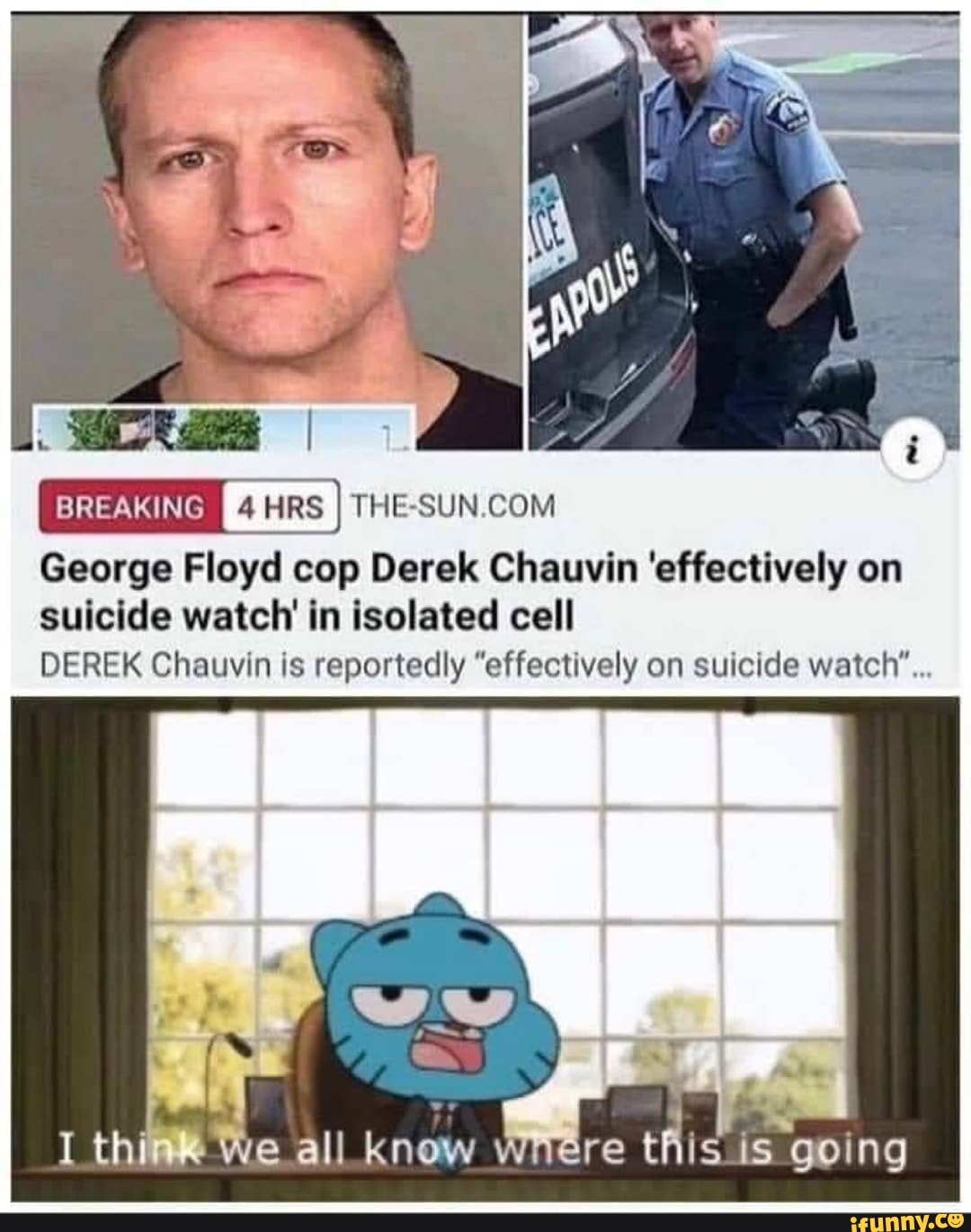 George Floyd cop Derek Chauvin 'effectively on suicide ...