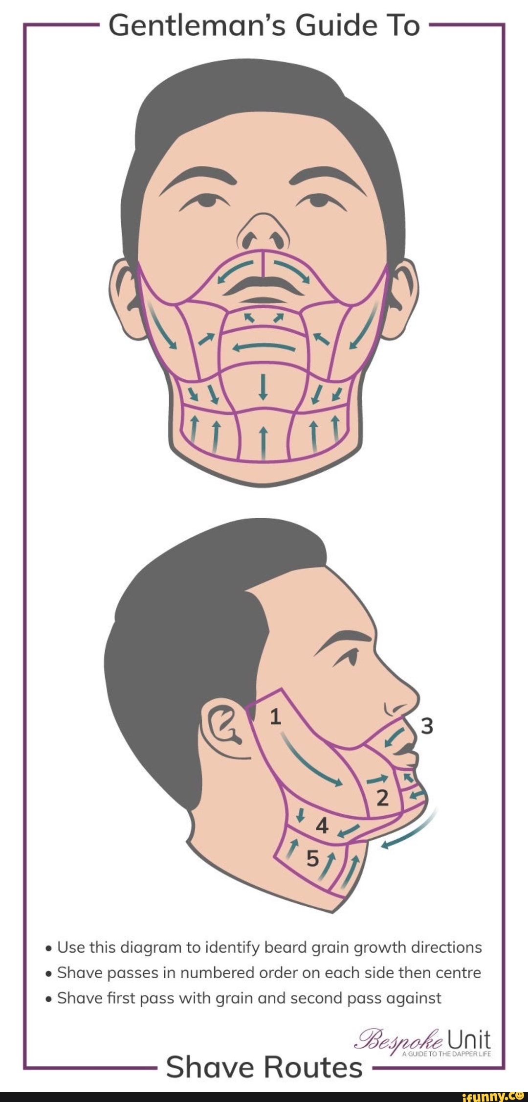 Gentleman S Guide To Use This Diagram To Identify Beard Grain