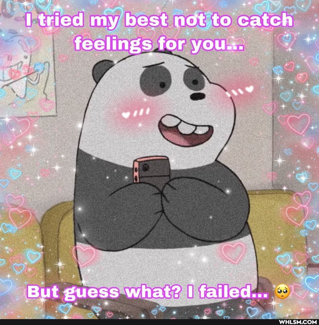 tried my best not to catch feelings for you...
witt
But guess what? I failed...