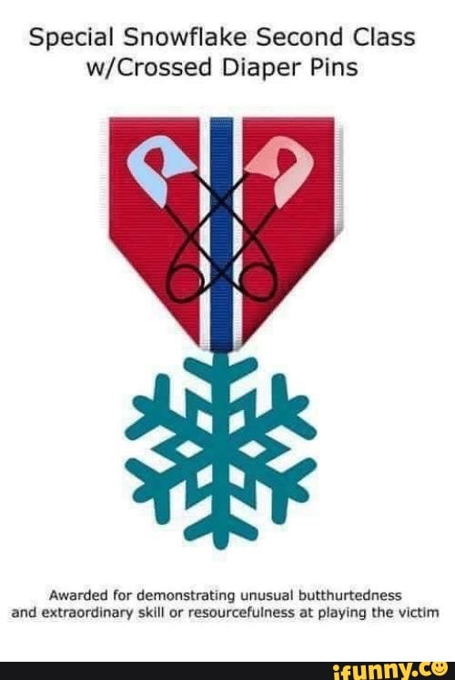 Special Snowflake Second Class
w/Crossed Diaper Pins
Awarded for demonstrªm; unusual butthurtedness
and extraordinary skfll or resourcefulness at playing me victim