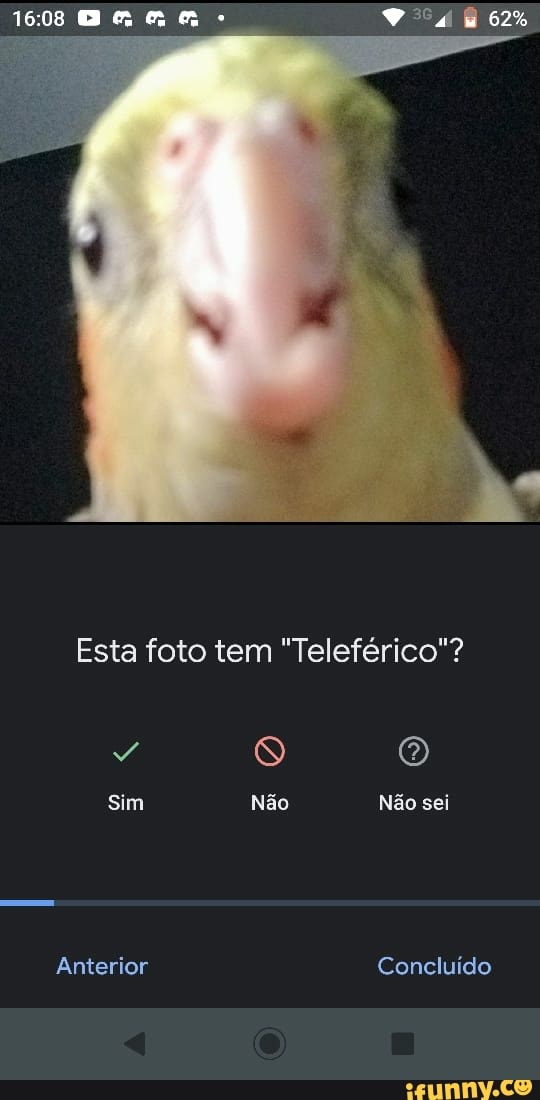 1608-esta-foto-tem-telef-rico-sim-n-o-n-o-sei-anterior-conclu-do