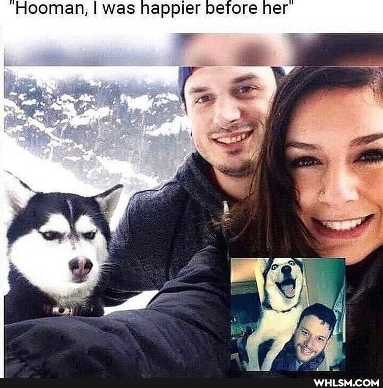 "Hooman, I was happier before her