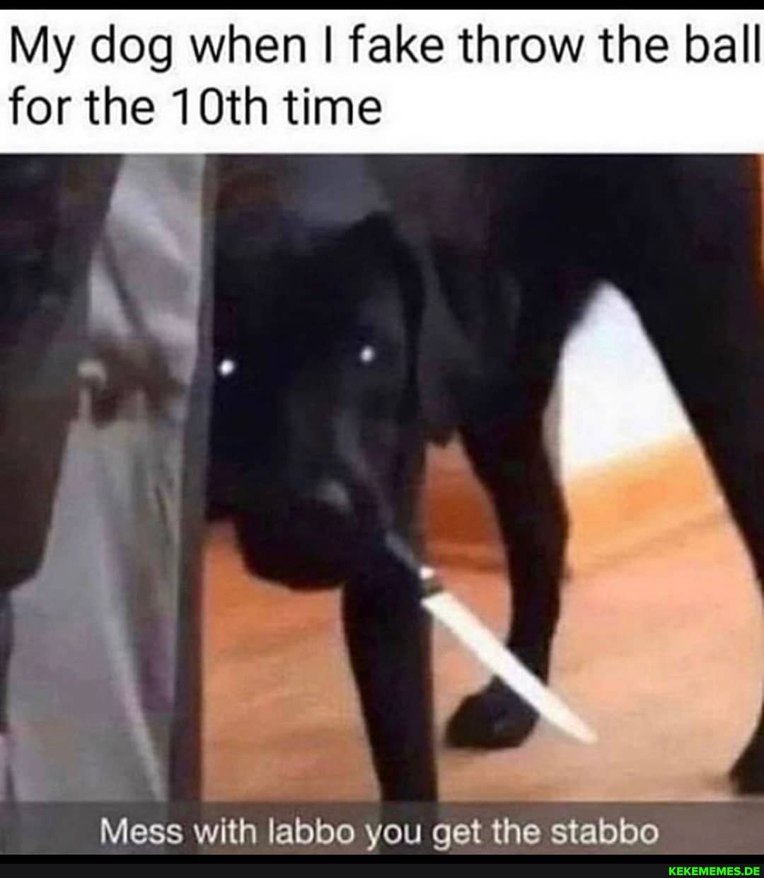 My dog when I fake throw the ball for the 10th time
Mess with labbo you get the stalobo