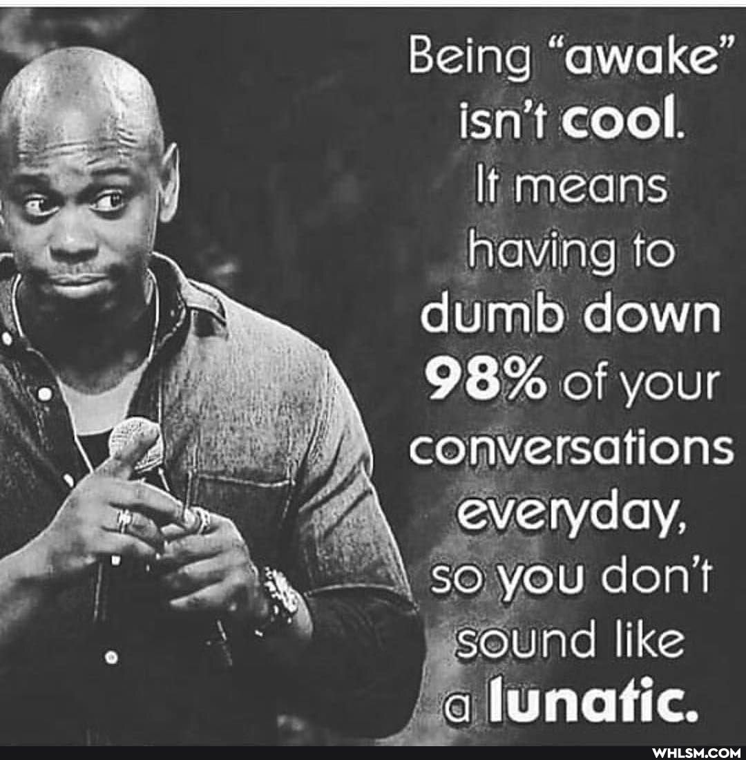Being "awake" isn't Cool.
li means having to dumb down
98% of your conversations everyday,
so you don't like sound like
/a lunatic.