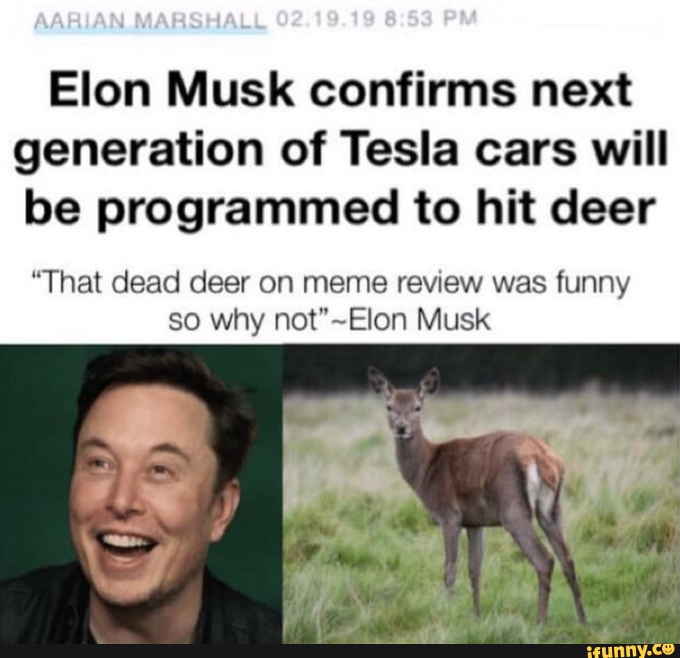 Elon Musk Dead Deer Elon Musk Laughs At A Dead Deer Becomes