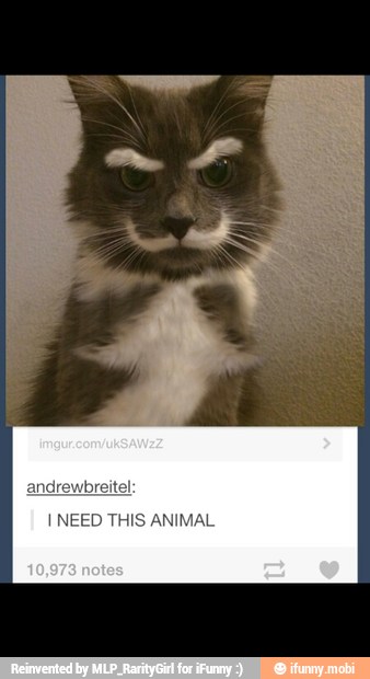 I NEED THIS ANIMAL
