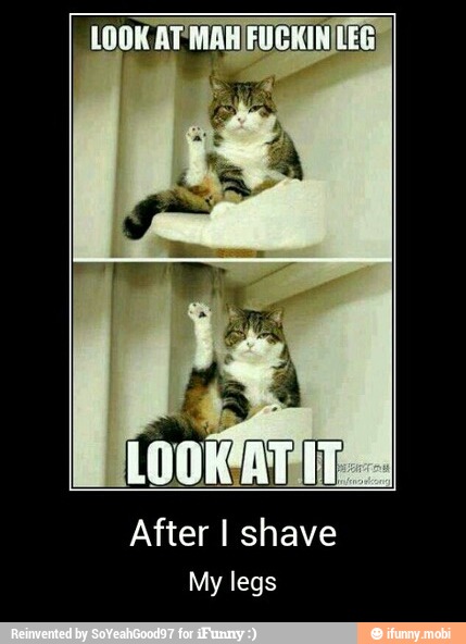 LOOK AT MAHIFUCKI
After I shave