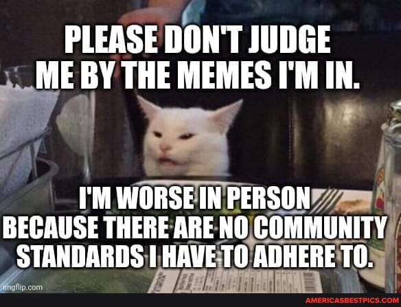 PLEASE DON'T JUDGE ME ME BY THE MEMES I'M IN. I'M WORSE IN PERSON ...