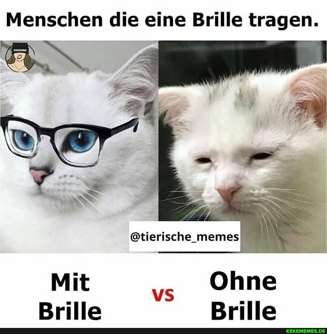 Menschen die eine Brille tragen;
\ -
mames
Brille