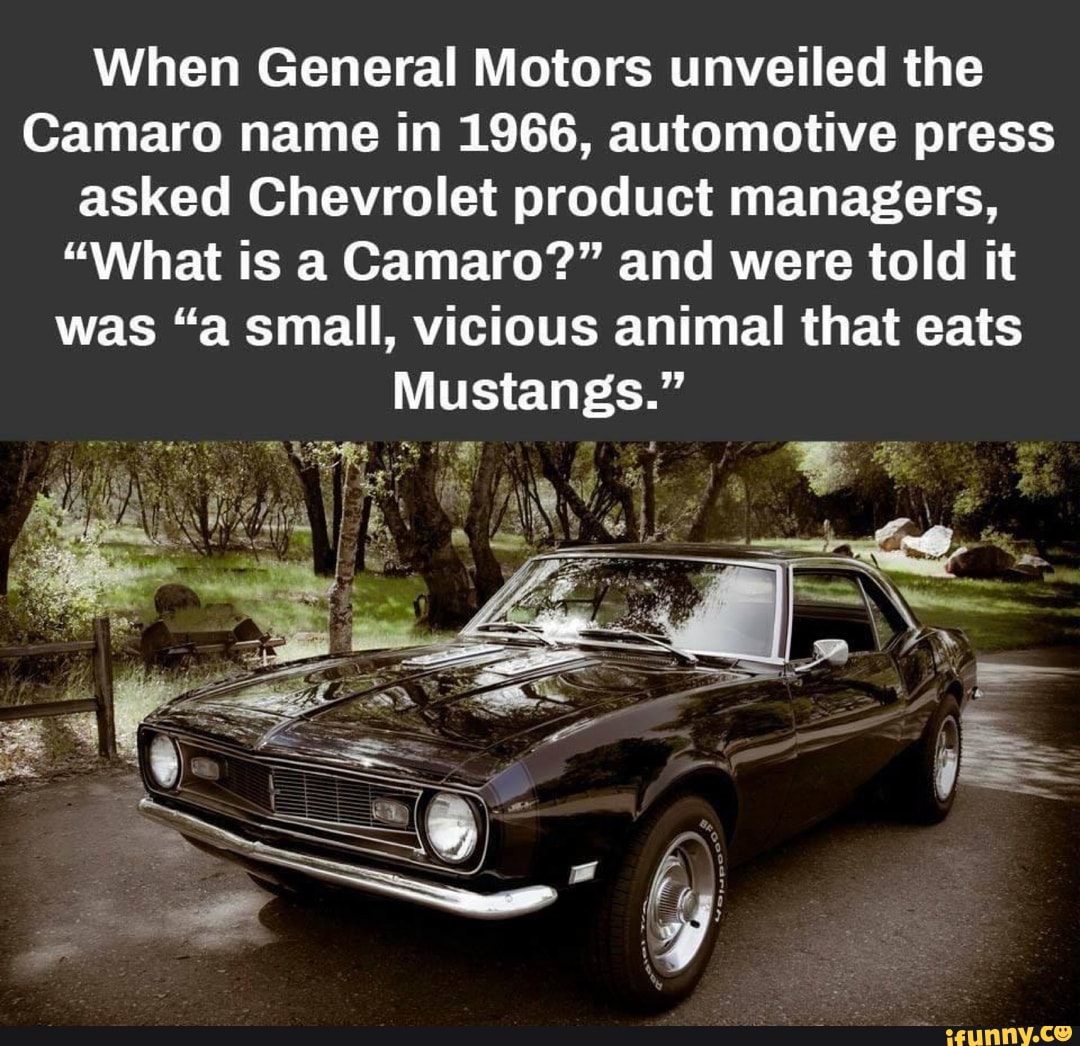 When General Motors unveiled the Camaro name in 1966, automotive press  asked Chevrolet product managers, 