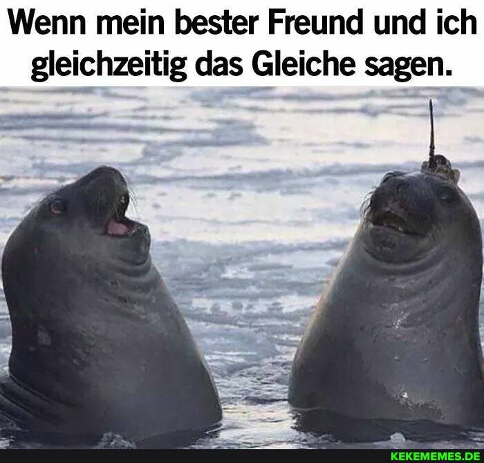 Wenn mein bester Freund und ich gleichzeitig das Gleiche sagen.