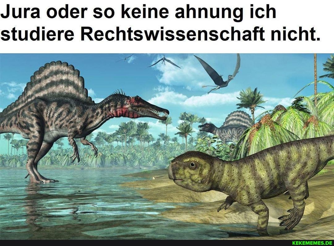 Jura oder so keine ahnung ich studiere Rechtswissenschaft nicht.