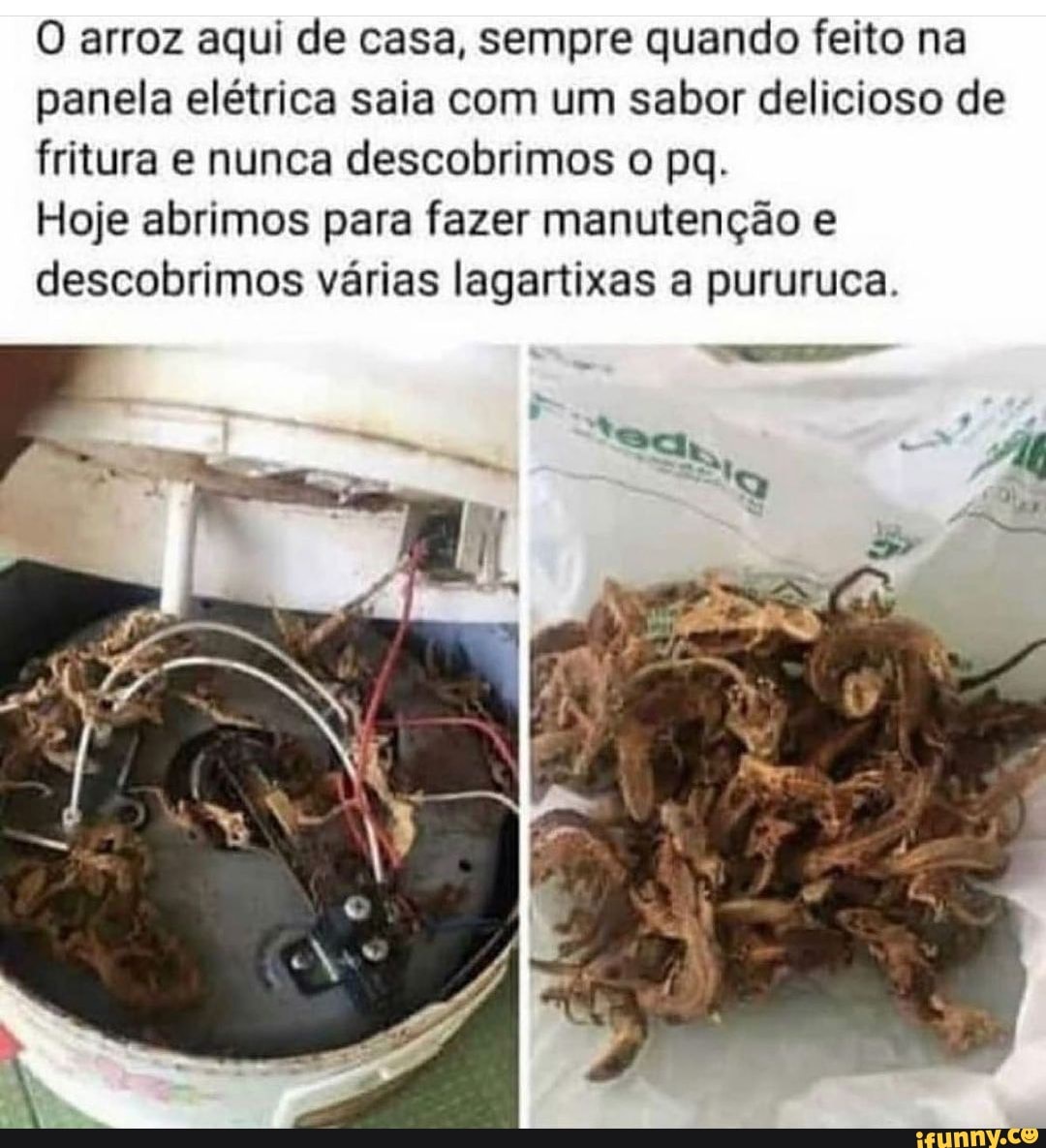 arroz aqui de casa, sempre quando feito na panela elétrica saia com um sabor delicioso de fritura nunca descobrimos pq.
Hoje abrimos para fazer manutenção e descobrimos várias lagartixas pururuca.