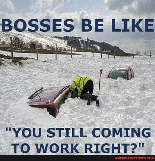 BOSSES BE LIKE 