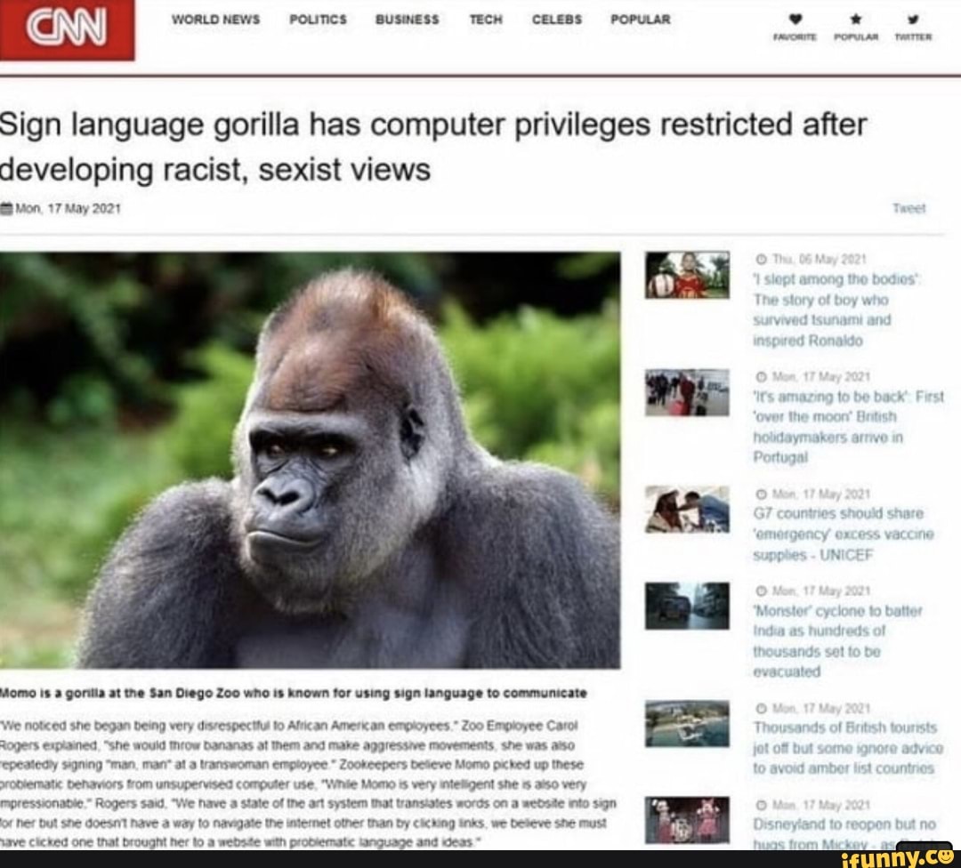 Sign language gorilla has computer privileges restricted after ...