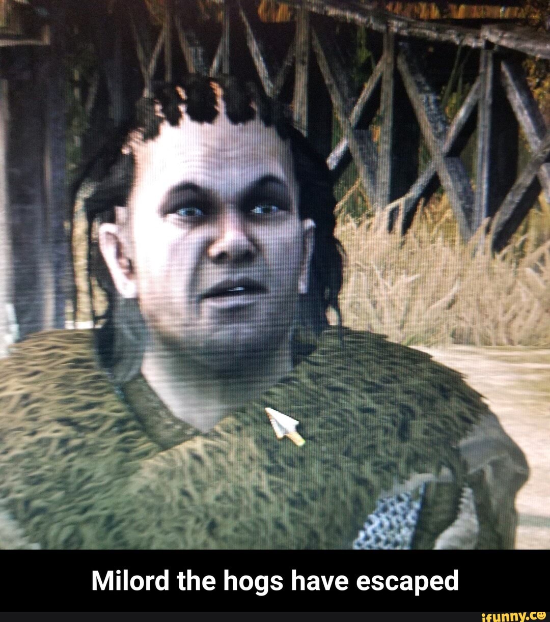 A
Milord the hogs have escaped - Milord the hogs have escaped