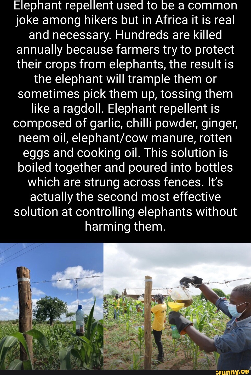 Elephant repellent used to be a common joke among hikers but in Africa