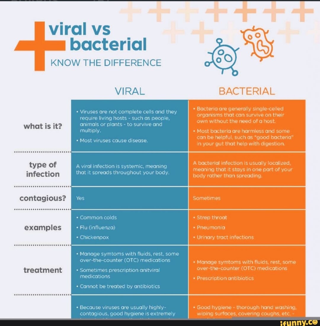 viralvs-bacterial-know-the-difference-what-is-it-type-of-infection