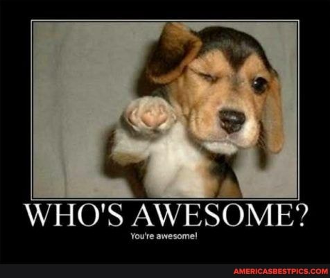 WHO'S AWESOME?