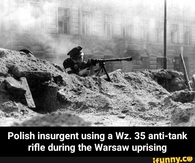 wz 35 anti tank rifle