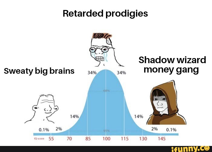 Retarded prodigies Shadow wizard Sweaty big brains 34% money gang 0.1% ...