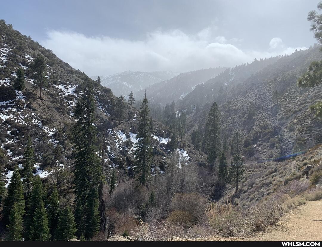 nature, hiking