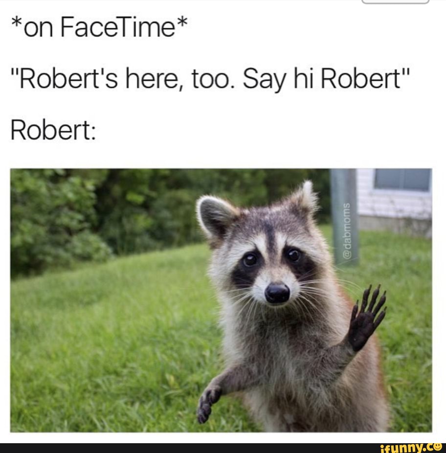 *on FaceTime*
"Robert's here, too. Say hi Robert"
Robert: