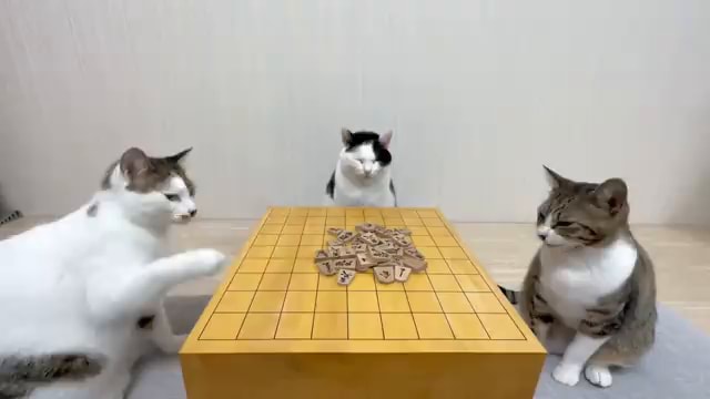 Shogi memes. Best Collection of funny Shogi pictures on iFunny Brazil