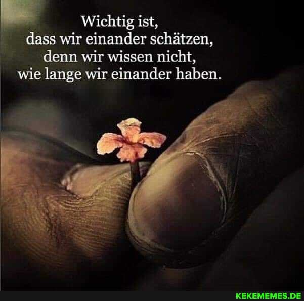 Wichtig ist, dass wir einander schätzen,
denn wir wissen nicht, wie lange wir einander haben.