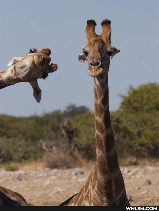 funny, photography, earth