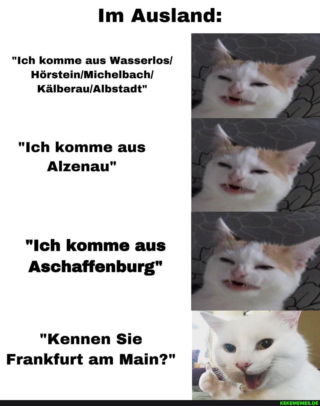 Im Ausland:
"Ich komme aus Wasserlos/
"Ich komme aus
Alzenau"
"Ich komme aus
Aschaffenburg"
"Kennen Sie
Frankfurt am Main?"