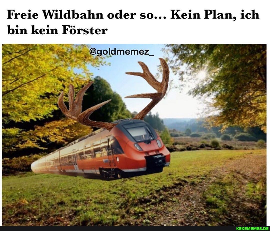Freie Wildbahn oder so... Kein Plan, ich bin kein Förster