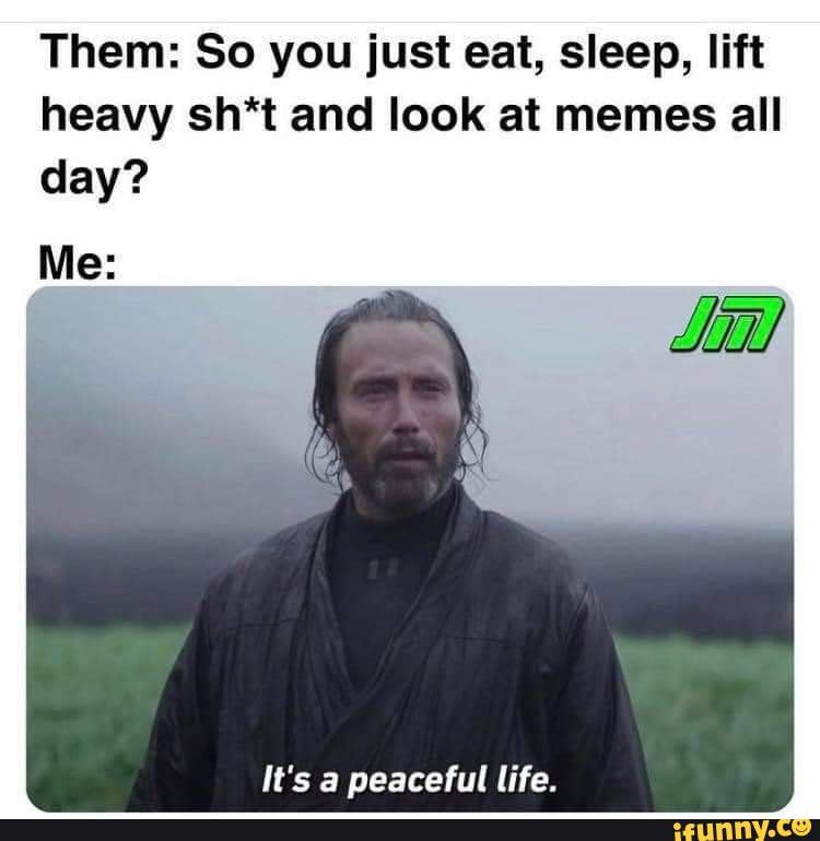 Them: m: So you just eat, sleep, lift heavy sh*t and look at memes all day?  Me: It's a peaceful life. - iFunny Brazil