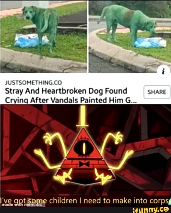 Stray And Heartbroken Dog Found SHARE
Crying After Vandals Painted Him G...
've gotisome children I need to make into corpsy