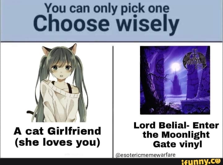 You can only pick one Choose wisely A cat Girlfriend the Enter (she ...