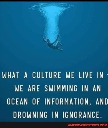WHAT A CULTURE WE LIVE IN WE ARE SWIMMING IN AN OCEAN OF INFORMATION, AND DROWNING IN IGNORANCE.