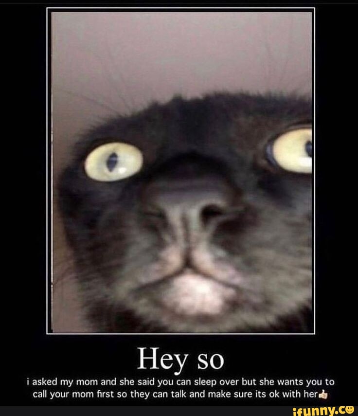 Hey so asked my mom and she said you can sleep over but she wants you ...