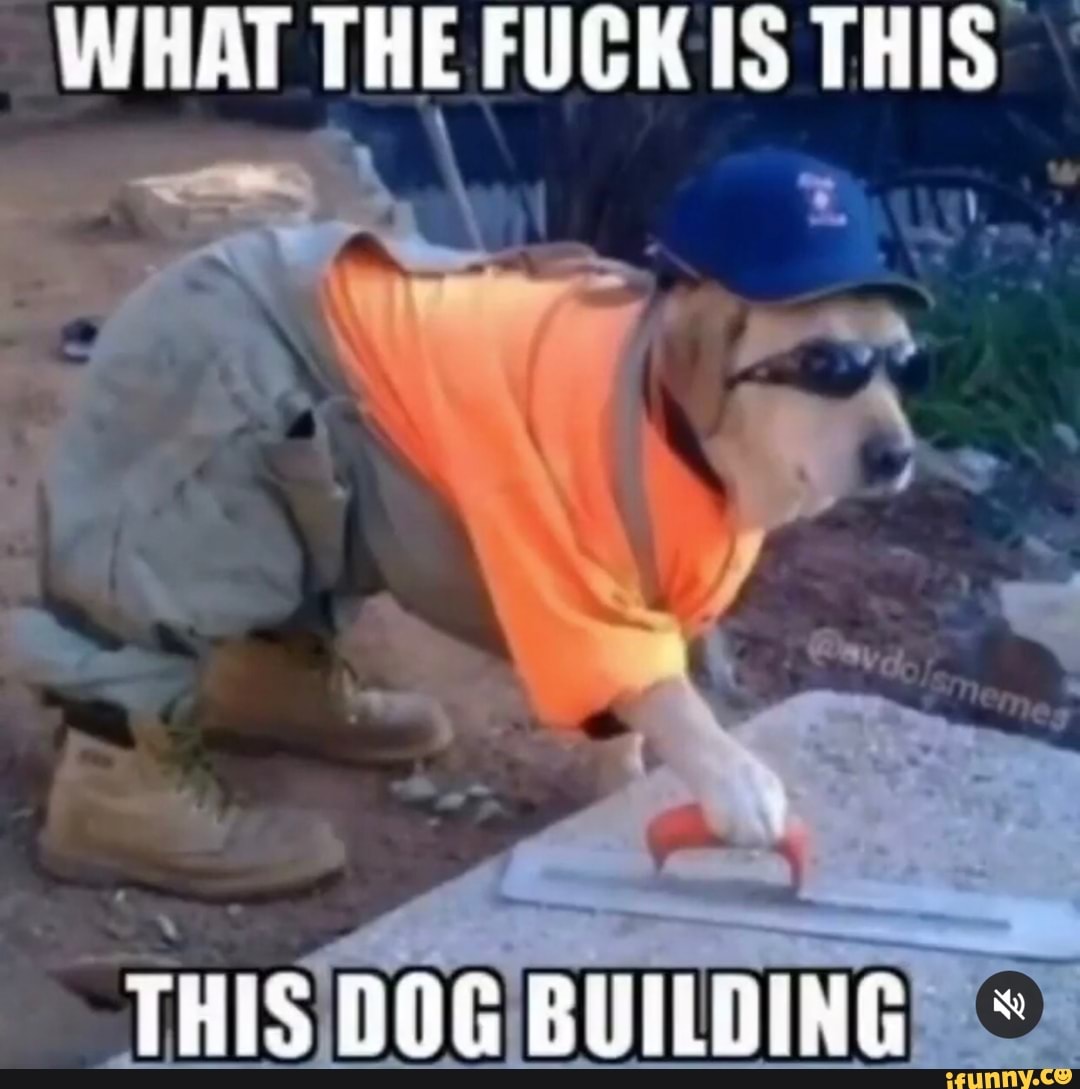 WHAT THE FUCK IS THIS
THIS DOG BUILDING
