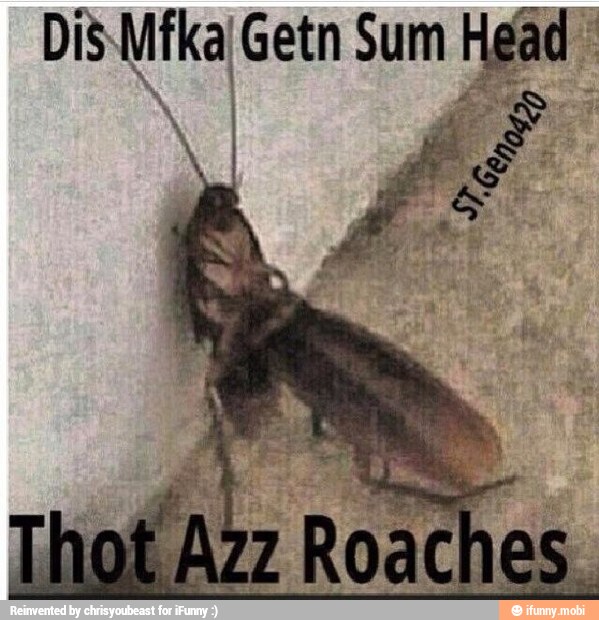 Dis Mika Getn Sum Head