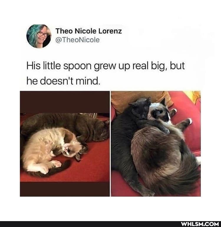 His little spoon grew up real big, but he doesn't mind.