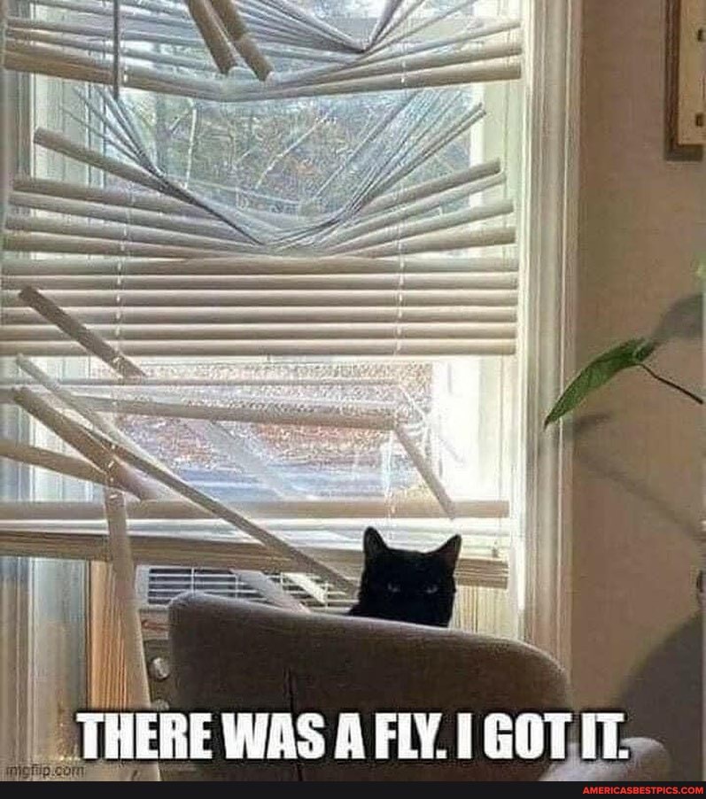 THERE WAS AFIY.1 GOT.IT>-