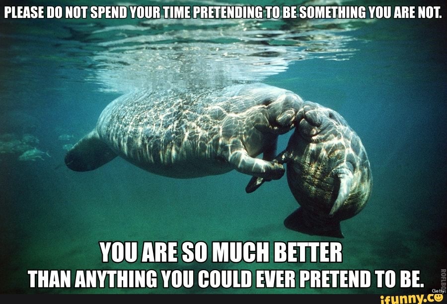 YOU ARE SO MUCH BETTER
THAN ANYTHING YOU COULD EVER PRETEND TO BE.