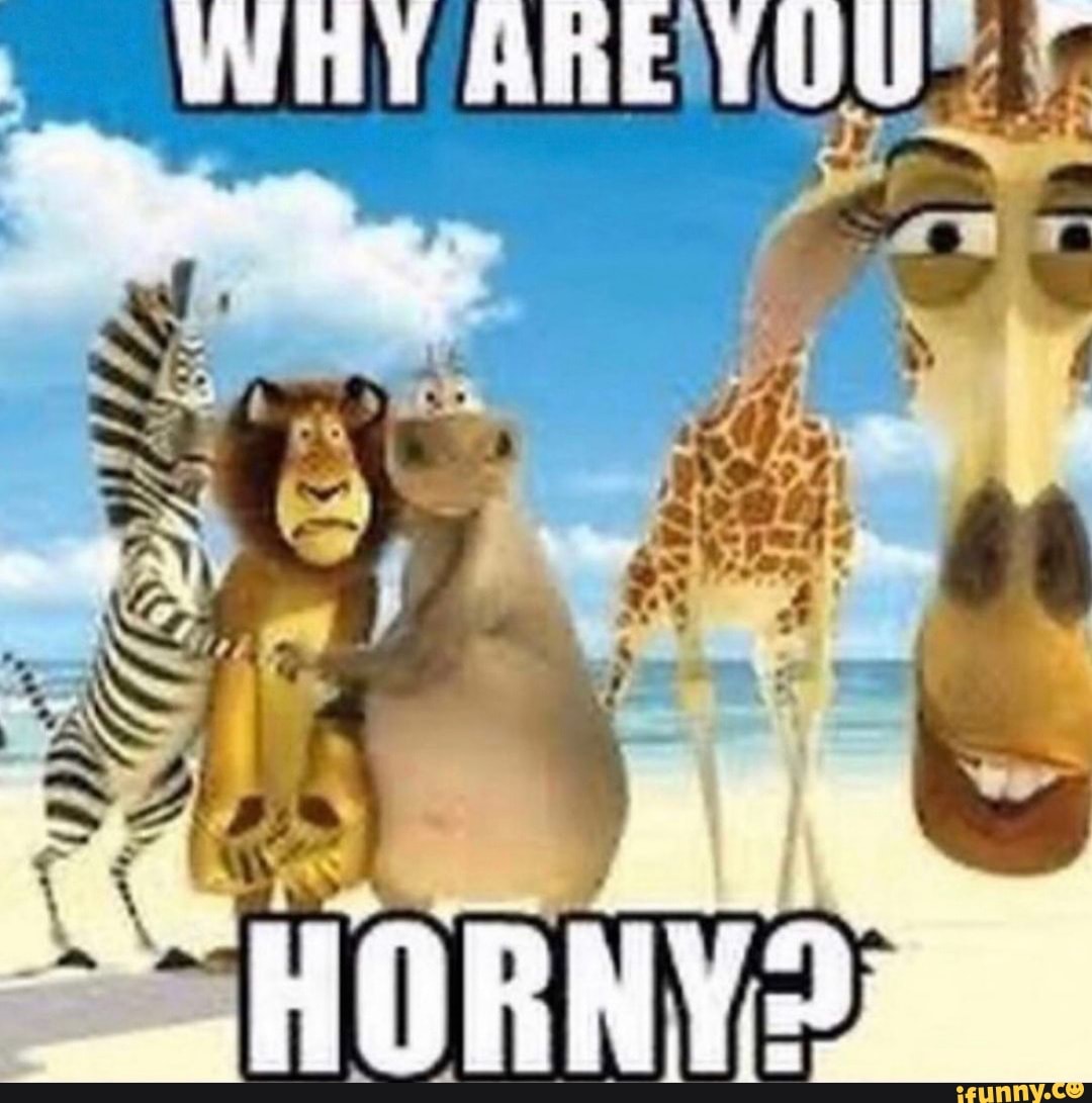 WHY YUU
: ~ ty
HORNY