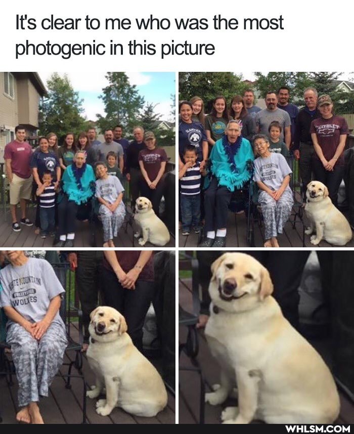 It's clear to me who was the most photogenic in this picture