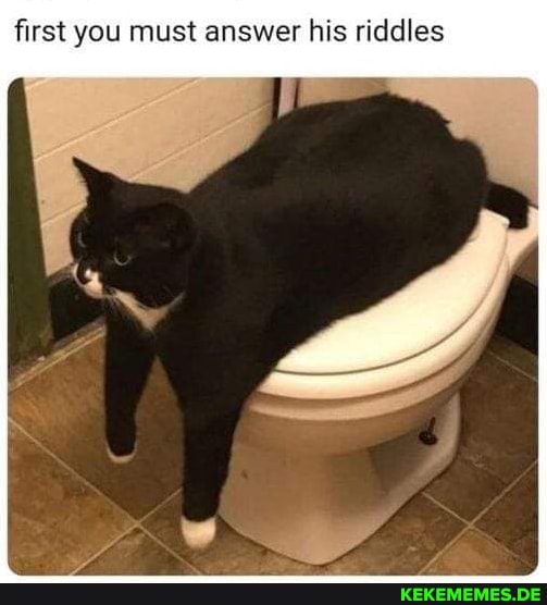 first you must answer his riddles
