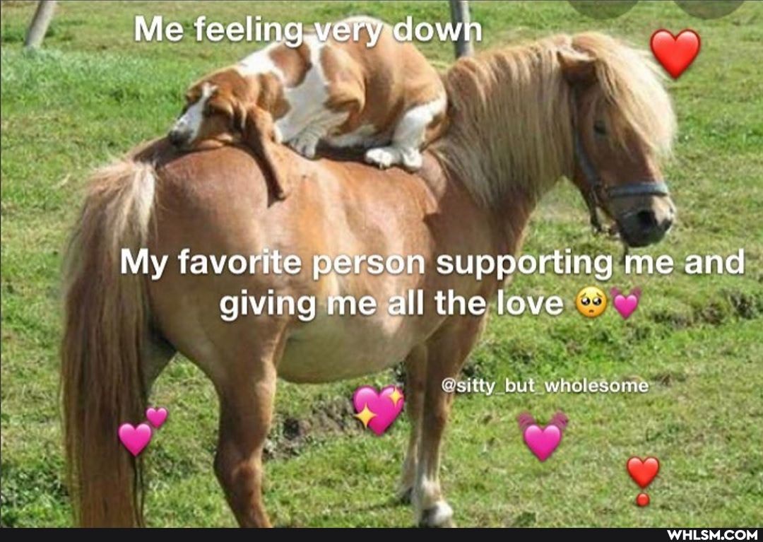 Me feeling down
"oo 2
My favorite person supporting me and giving me all the love ~
Psllly but whaulesanre